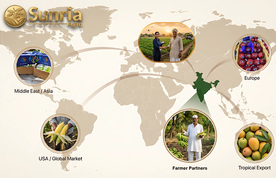 Global Reach