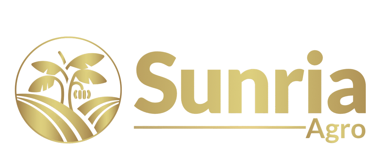 best banana exporter in world, best indian fruit exporter, sunria agro